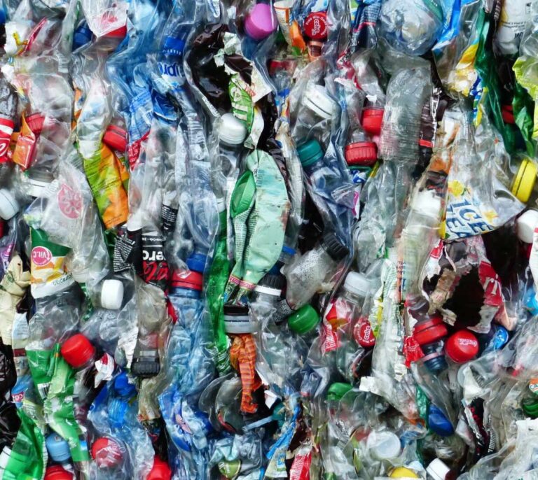 Y tú, ¿qué haces para combatir el cambio climático?