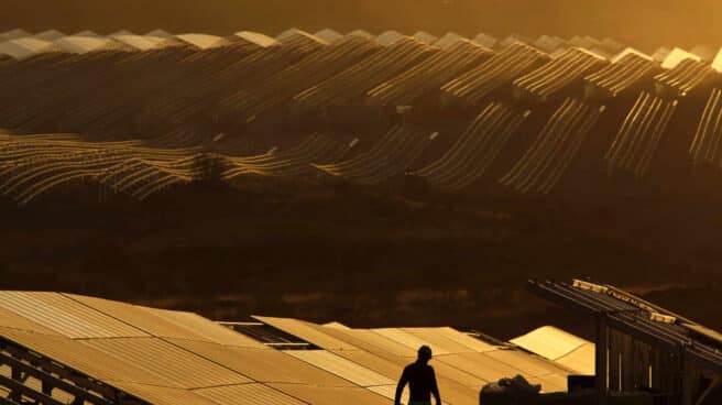 2019.10.03. Planta fotovoltaica Nuñez de Balboa (5)