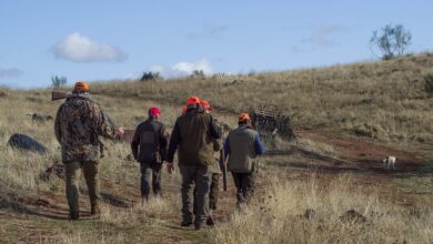 Los cazadores, contra la ley de bienestar animal: "Nos encamina hacia una dictadura animalista"