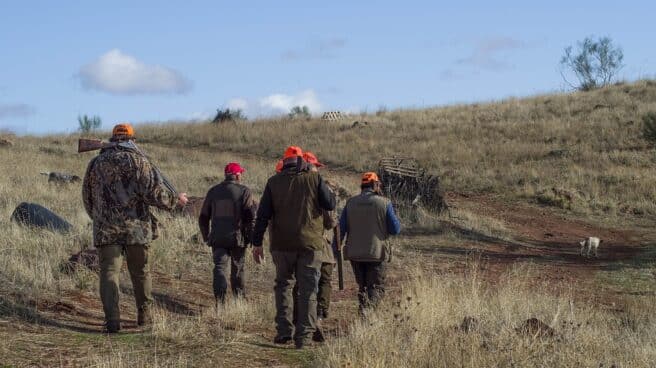 Varios cazadores en una batida en el monte.