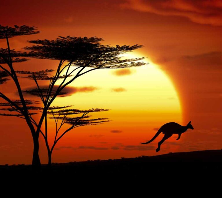 Consejos para tener éxito si vas a emprender o a ser autónomo en Australia