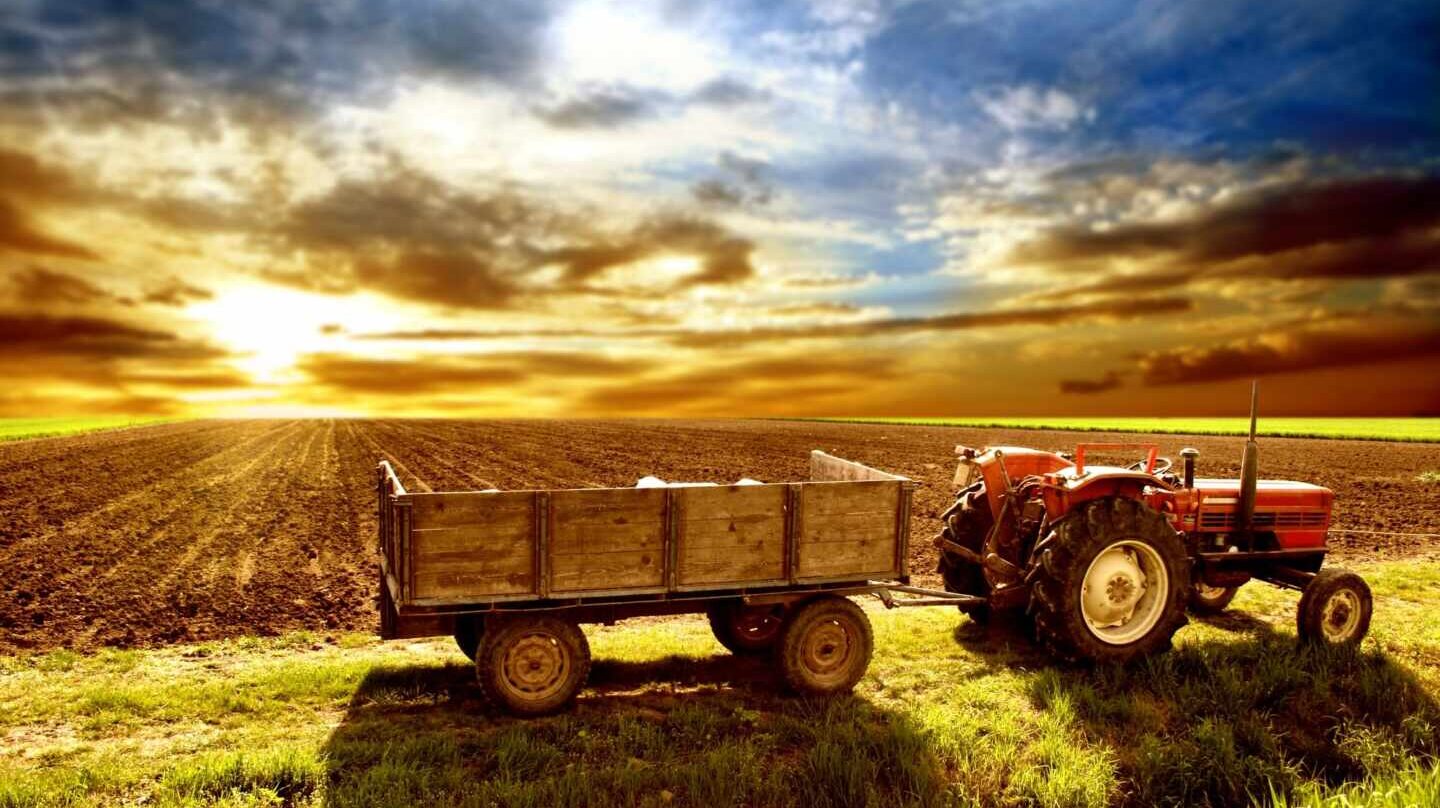ayudas agricultura