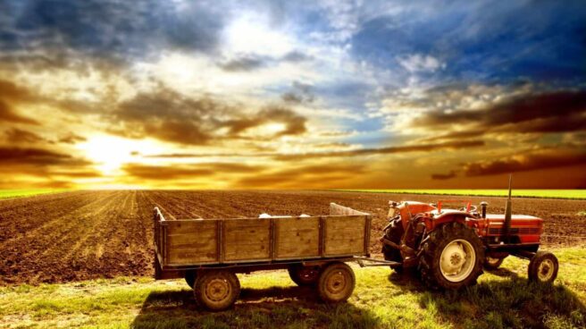 ayudas agricultura