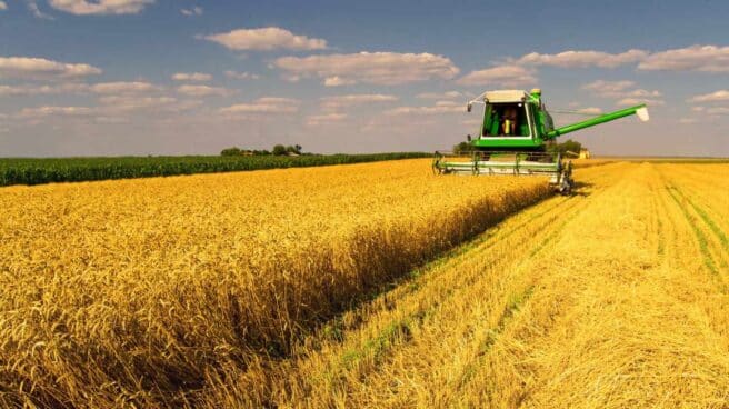 La locura del fertilizante: cómo un huracán en Luisiana y una crisis en Bielorrusia han hecho estallar al campo español uberización agricultura