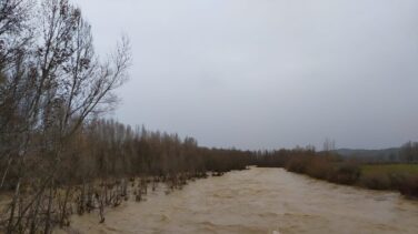 Situación complicada en el Duero: 34 tramos en alarma y 29 en alerta