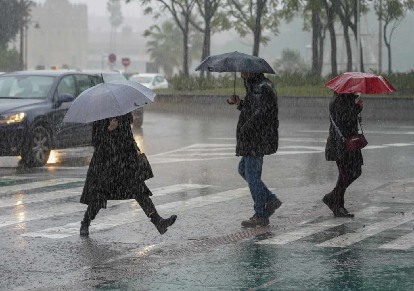 Temporal de lluvia.