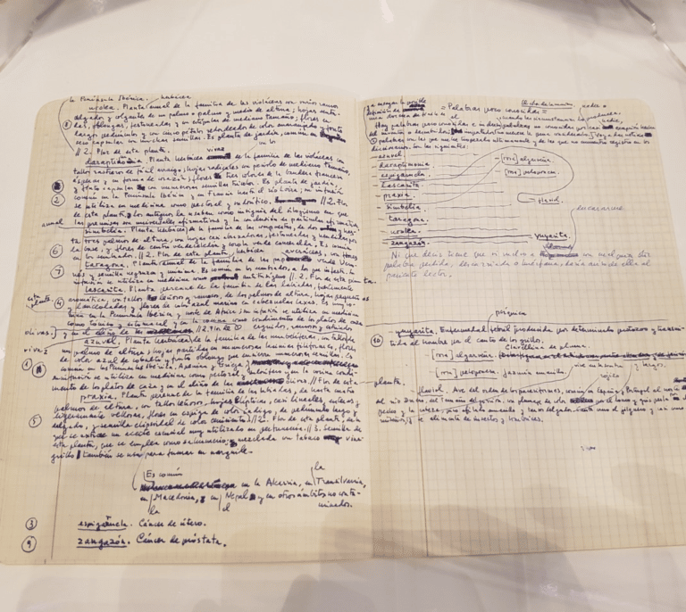 "Crítico y de ironía fina": Hacen públicos 23 manuscritos de Camilo José Cela