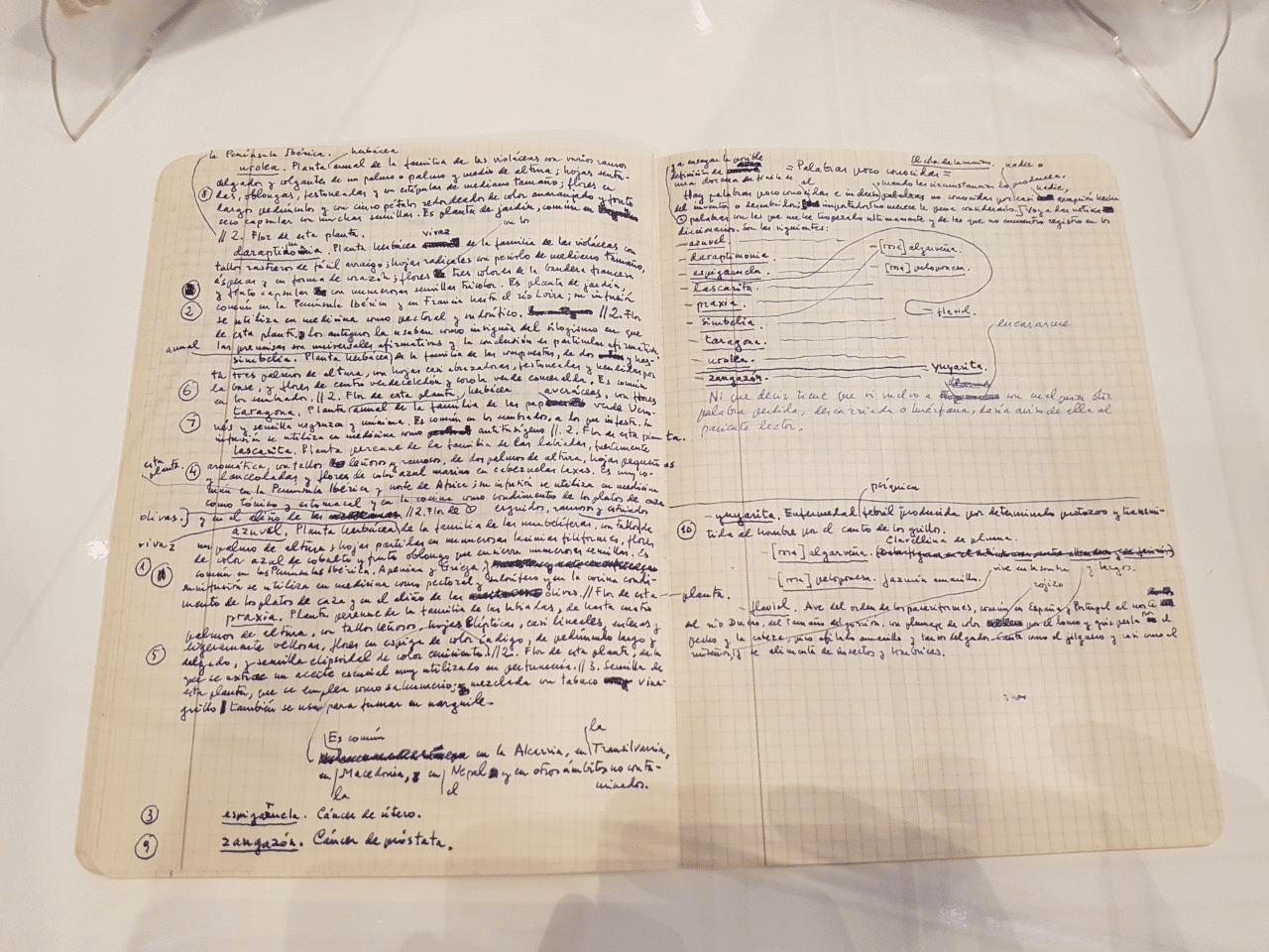 "Crítico y de ironía fina": Hacen públicos 23 manuscritos de Camilo José Cela