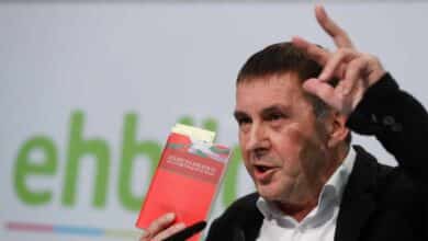 Otegi reivindica el 'Plan Ibarretxe': "Fue un pasito adelante, el nuevo Estatuto lo es atrás"