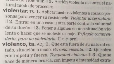 La RAE no plantea incluir hasta 2026 el concepto 'violencia de género' en el diccionario