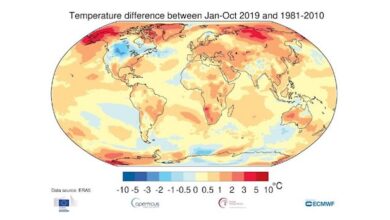 2019 cierra la década más calurosa: 1,1º de subida media de temperatura