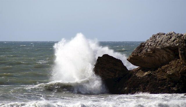 Temporal