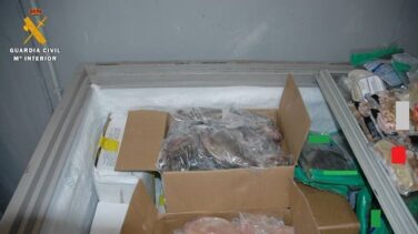 Intervenidas dos toneladas de alimentos no aptos para el consumo en Zaragoza