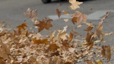 La Aemet registra rachas de viento de hasta 109 kilómetros por hora en Mallorca