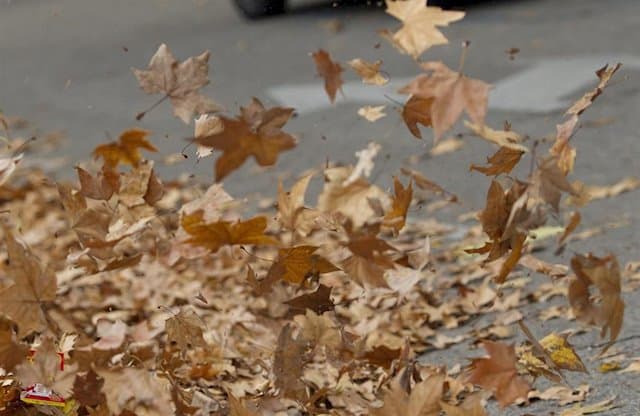 Mañana, temperaturas altas para la época y viento fuerte en litoral gallego