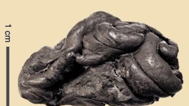 Un trozo de 'chicle' prehistórico revela el ADN de su consumidor