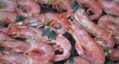 Qué es el cadmio y cuántas cabezas de gambas puedes chupar esta Navidad