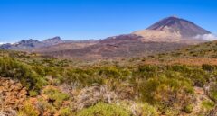 ¿Por qué debería un emprendedor plantearse abrir su negocio en Canarias?