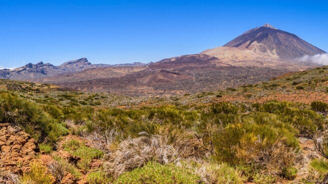 canarias