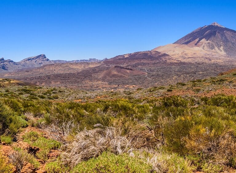 ¿Por qué debería un emprendedor plantearse abrir su negocio en Canarias?