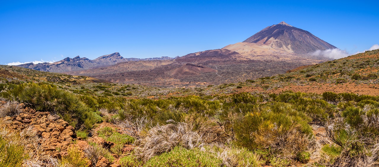 canarias