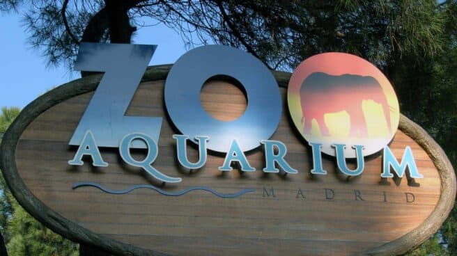 zoo-madrid