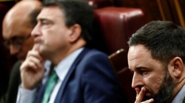 Vox, uno contra todos: oposición "sin tregua" y al margen de Casado