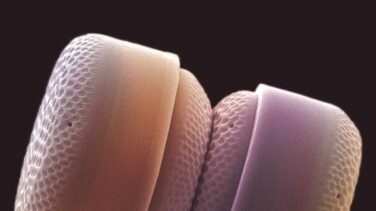 Las mejores fotos de ciencia: el sexo de los crustáceos, caballitos de mar y nanoplancton