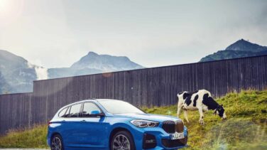 BMW: a grandes males, las mejores soluciones