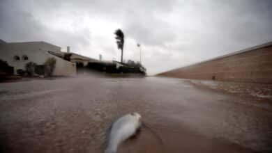 Vídeo del temporal Gloria: ríos desbordados, calles destrozadas y olas gigantes