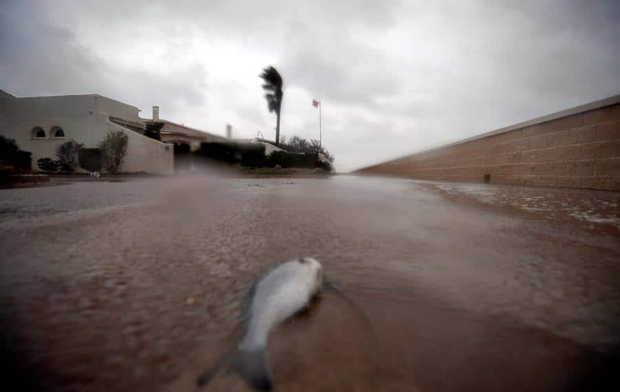 Vídeo del temporal Gloria: ríos desbordados, calles destrozadas y olas gigantes