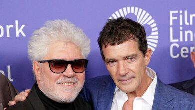 'Dolor y gloria': El resurgir internacional de Almodóvar y Banderas