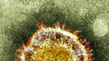 El coronavirus llega a Extremadura y a Castilla-La Mancha