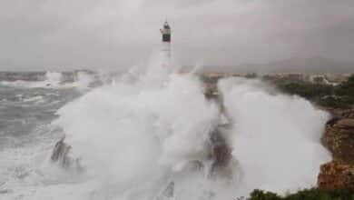Portocolom (Mallorca) registra olas gigantes por la borrasca Gloria