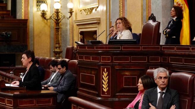 Adolfo Suárez Illana se da la vuelta mientras hablaba la portavoz de Bildu en el Congreso.