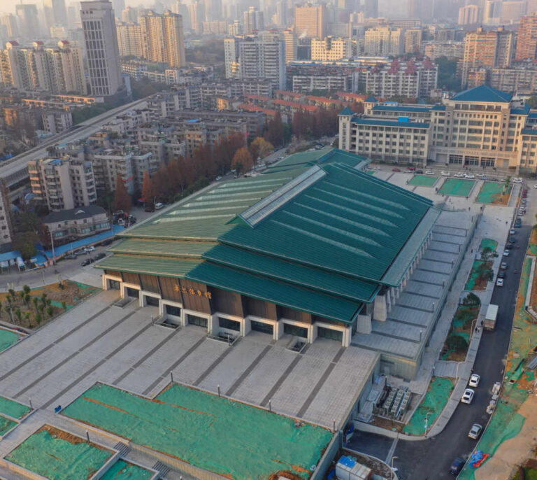 El equipo de fútbol Wuhan Zall llega este miércoles a Málaga