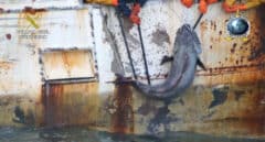 El CGPJ abre la puerta a indemnizar a un grupo investigado por pesca ilegal en la Antártida