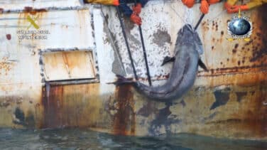 El CGPJ abre la puerta a indemnizar a un grupo investigado por pesca ilegal en la Antártida