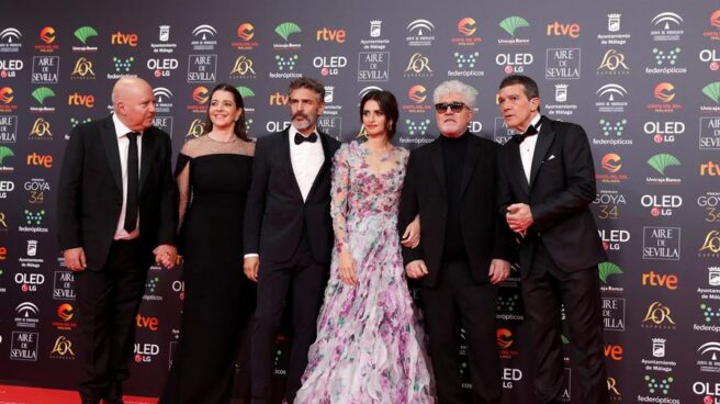 'Dolor y gloria'