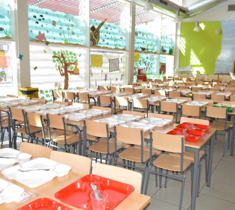 Legislación e inclusión, los deberes sin hacer ante las alergias infantiles