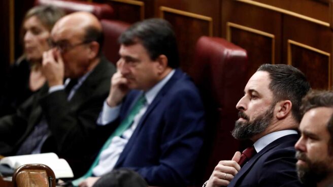 Santiago Abascal, en el Congreso.