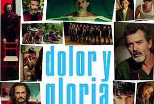 'Dolor y gloria', nominada al Cesar a Mejor película extranjera