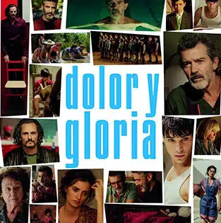 'Dolor y gloria', nominada al Cesar a Mejor película extranjera