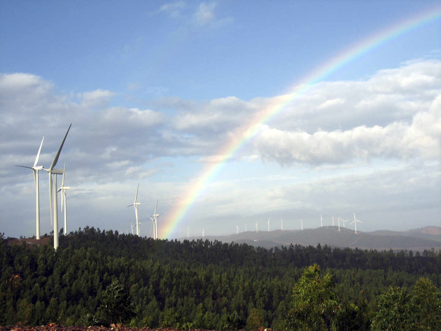 Parque eólico de Iberdrola.