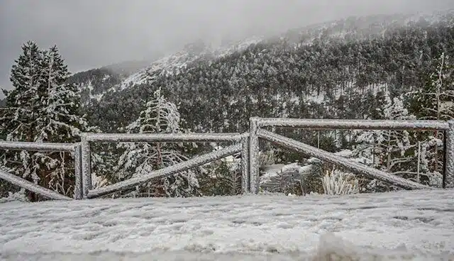 La nieve llega a la Comunidad de Madrid y obliga al uso de cadenas en Navacerrada y Cotos