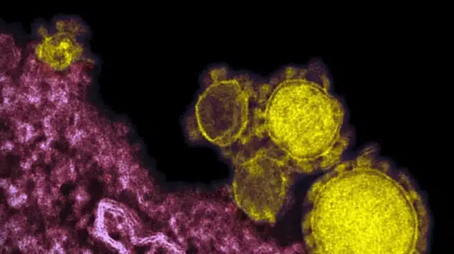 Los bulos de la epidemia: ni el pis de niño ni la cocaína te protegen del coronavirus