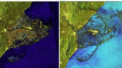 El Delta del Ebro "desaparece" por el impacto del temporal Gloria