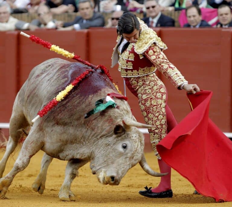 PACMA exige a Podemos que realice un referéndum sobre la tauromaquia