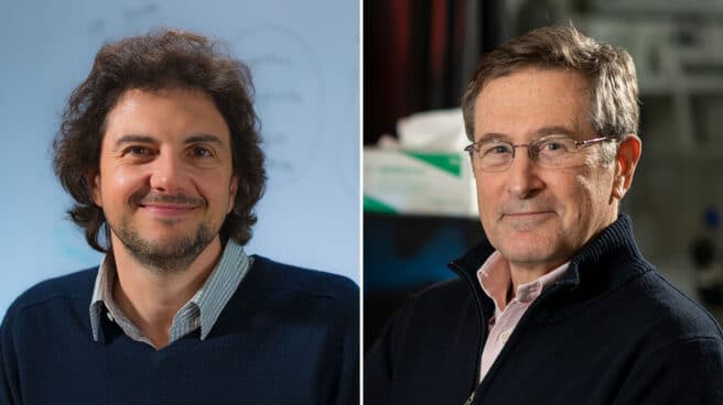 premiados-fundacion-bbva