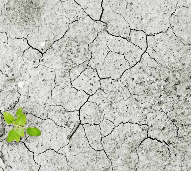 10 razones para elegir ser un inversor socialmente responsable